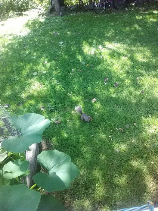 Walter's Mobile Home Village 8