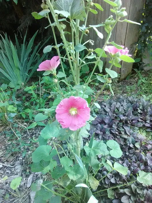 Walter's Mobile Home Village 3