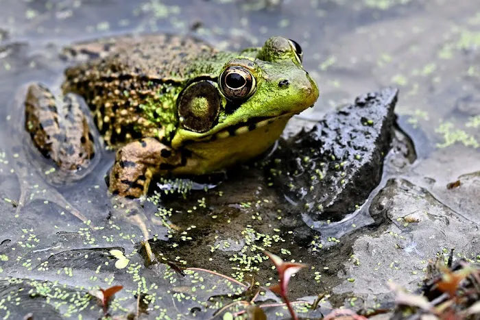 Winding Hills Park 5