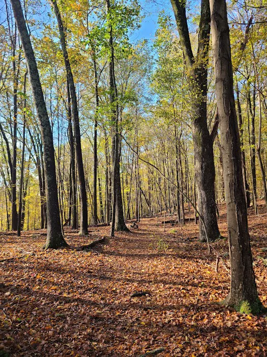 Winding Hills Park 2