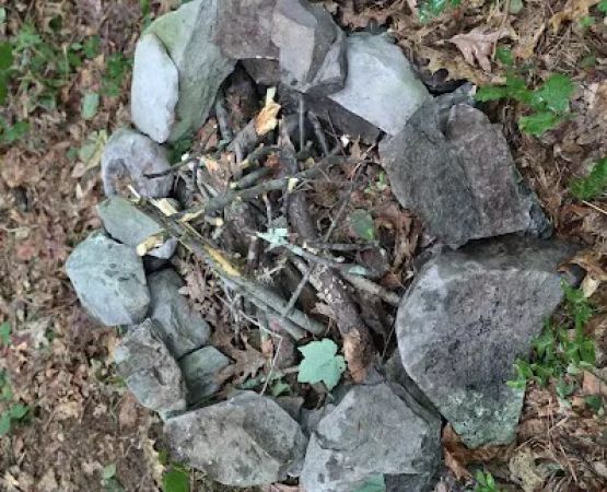 State Forest Campsite #S006