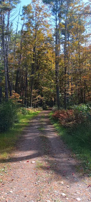 Indoor Pool, Gym & More: Catskills 'retreat House' 2