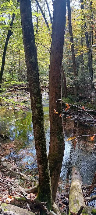 Indoor Pool, Gym & More: Catskills 'retreat House' 0