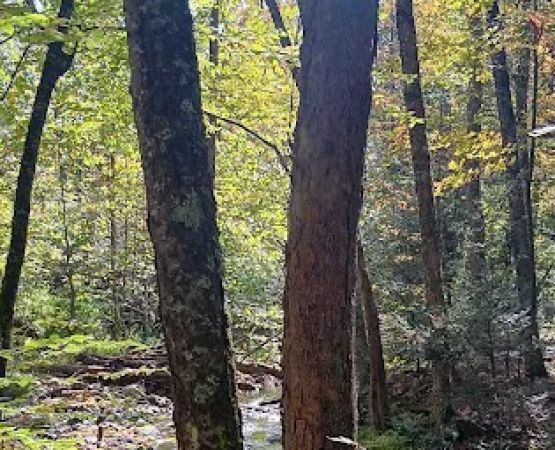 Indoor Pool, Gym & More: Catskills 'retreat House'