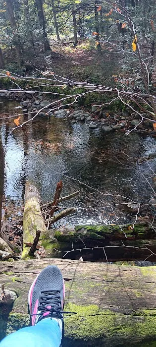 Indoor Pool, Gym & More: Catskills 'retreat House' 4