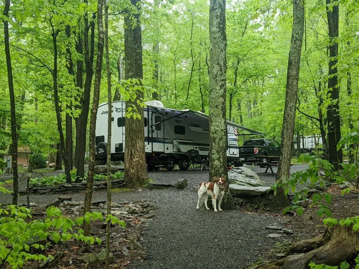 Otter Lake Camp-Resort 9