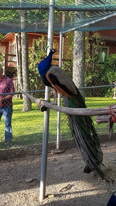 Otter Lake Camp-Resort 5