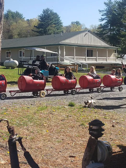 Silver Valley Campsite 9