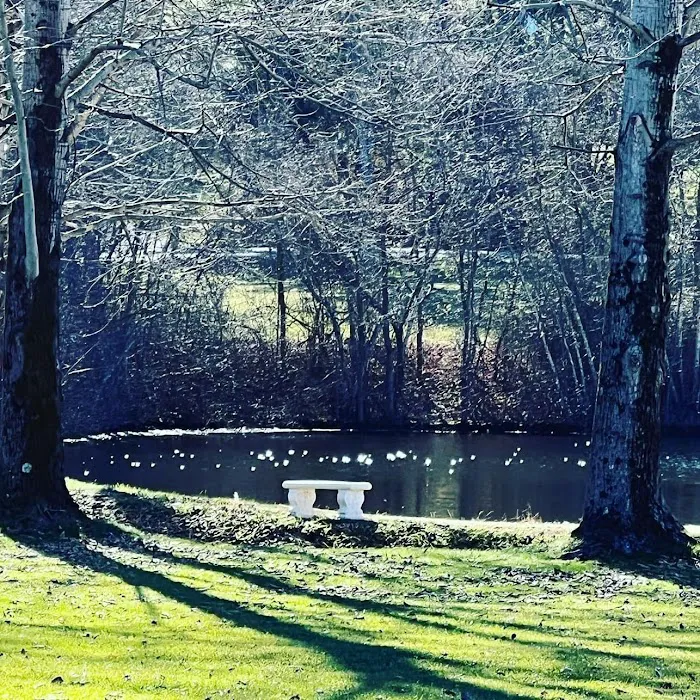 Chestnut Lake Campground 4