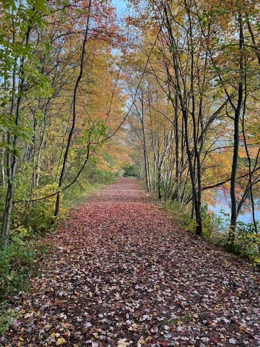 Chestnut Lake Campground 1
