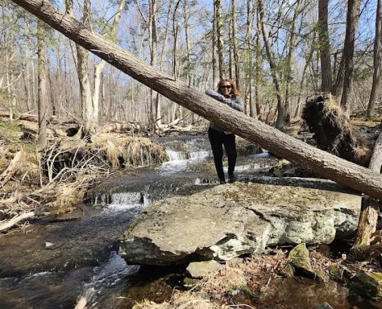 State Forest Campsite #S001