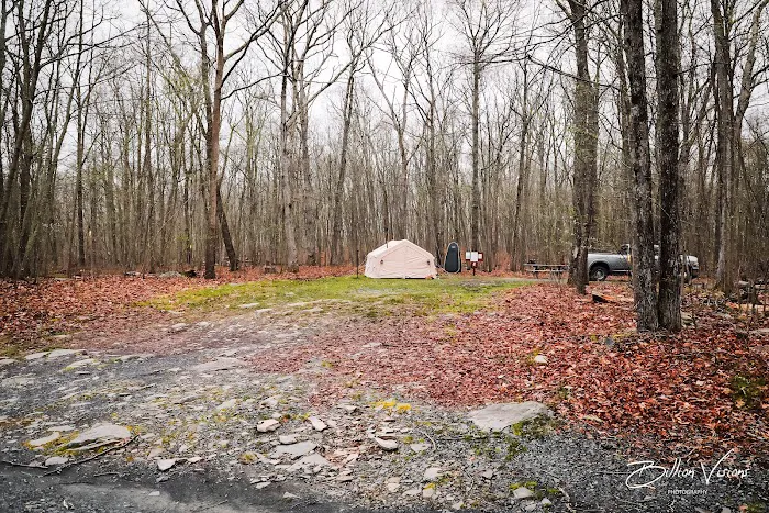 State Forest Campsite #S001 1