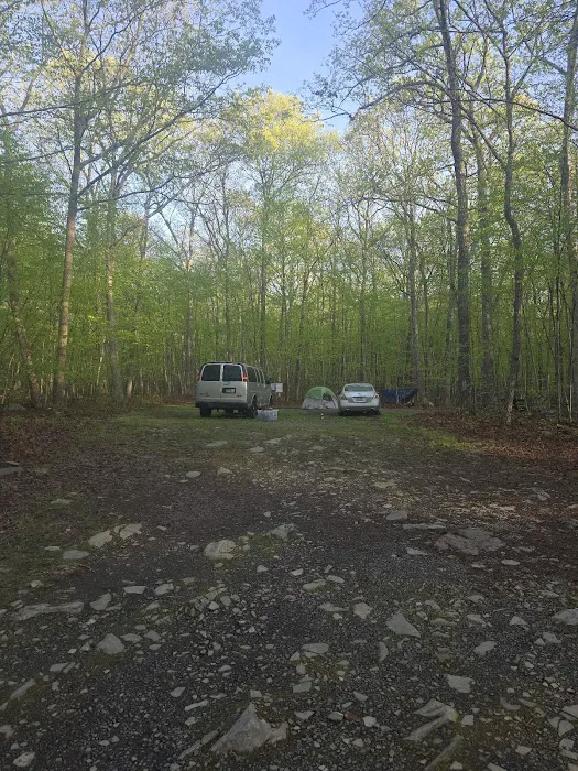 State Forest Campsite #S001 2