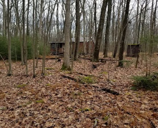 5 Mile Meadow Road - Entry