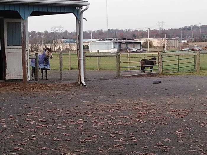 Oak Grove Park & Sales 5