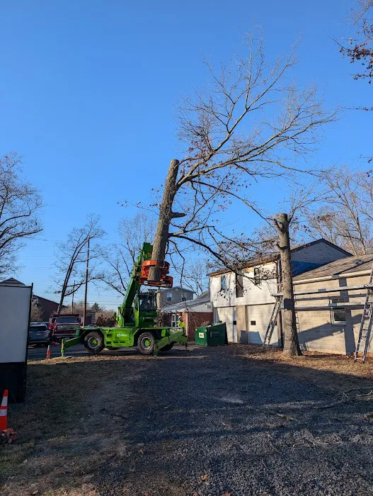 Oak Grove Park & Sales 6