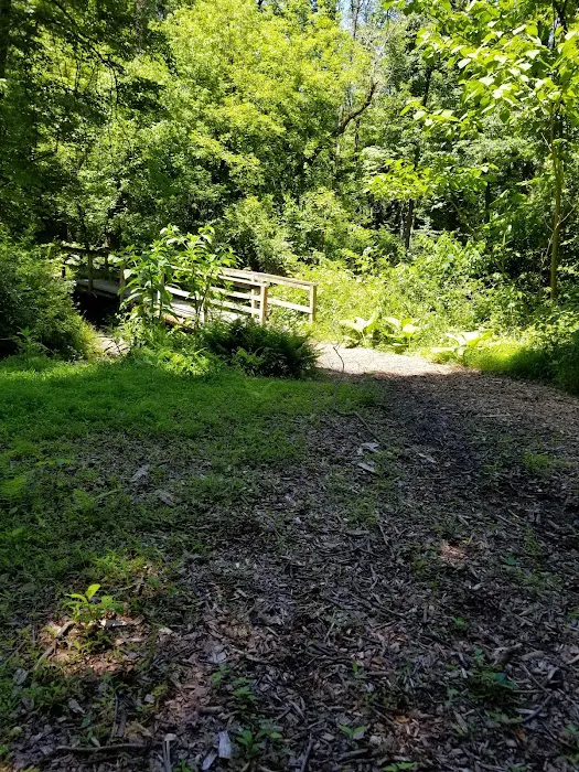 College Settlement Camps-Headwaters Of Pennypack Creek 8