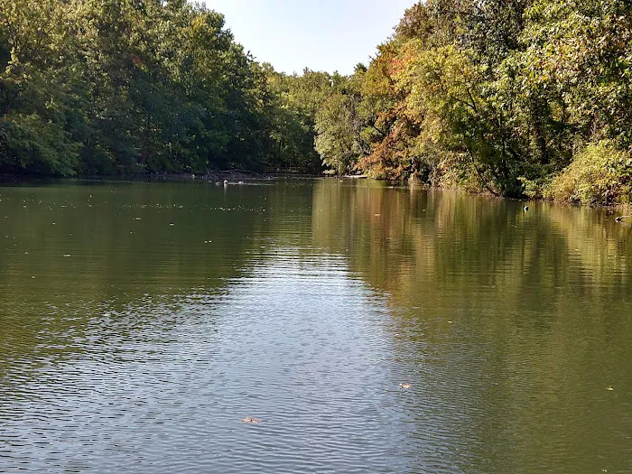 College Settlement Camps-Headwaters Of Pennypack Creek 4