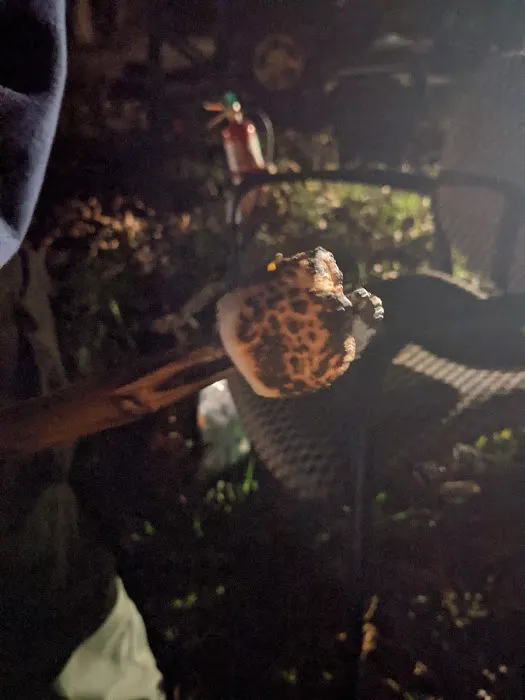 Delmont Scout Reservation 2