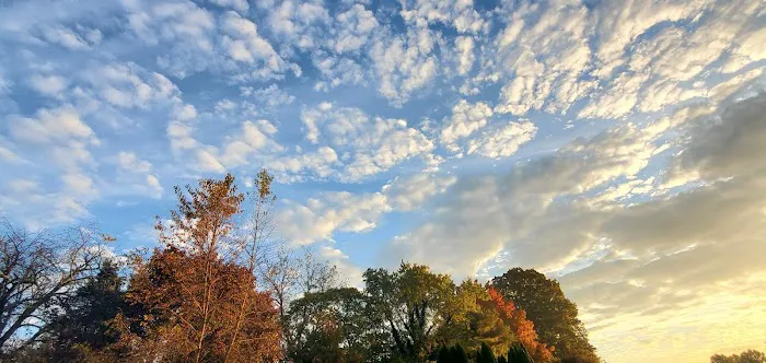 ABC Home Sales - Green Hill 2