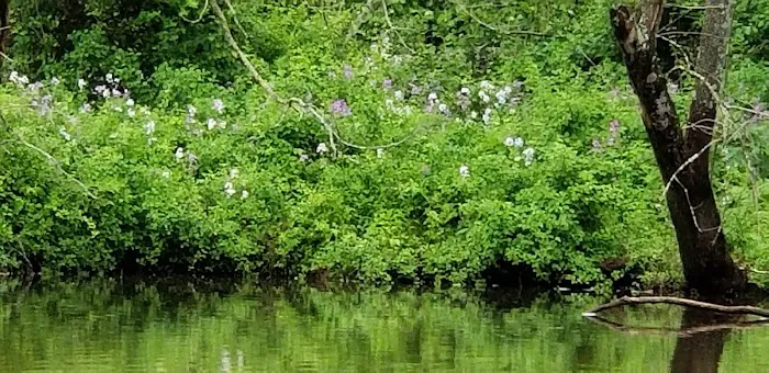 Marino Equestrian Campground 2