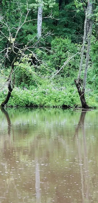 Marino Equestrian Campground 5