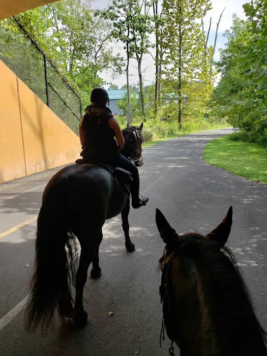 Marino Equestrian Campground 6