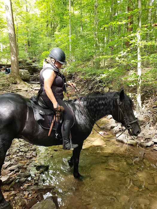 Marino Equestrian Campground 8