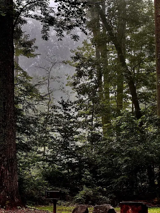 Deep Creek Campground 3