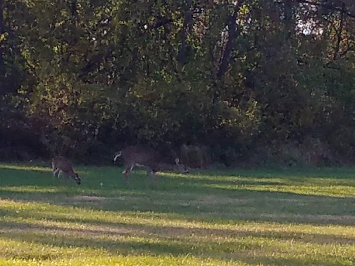 Indian Creek Village 5