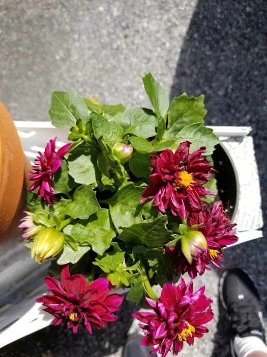 Hi-Point Mobile Home Park, by Valley Community Management 1