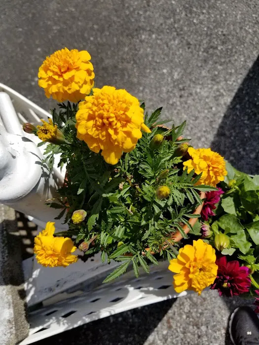 Hi-Point Mobile Home Park, by Valley Community Management 3