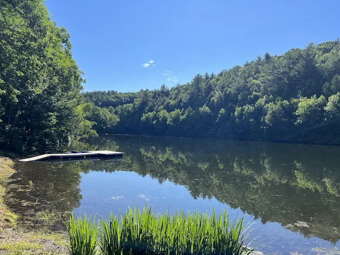 The Woods Camping Resort 9