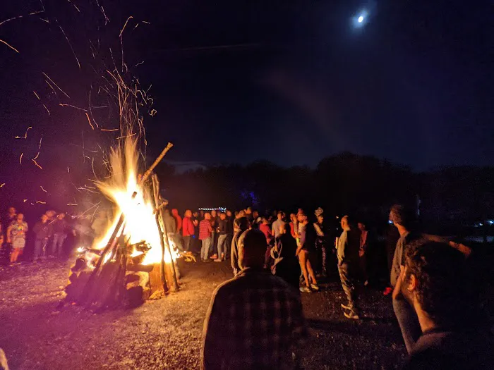 The Woods Camping Resort 2