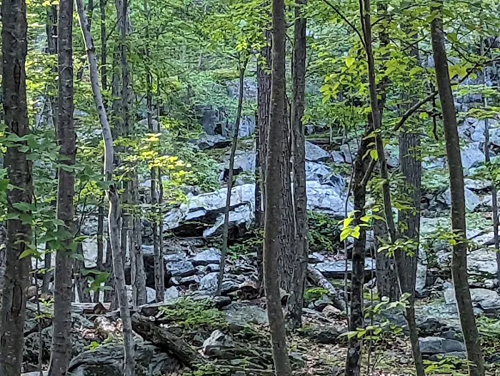 Agatha A. Durland Scout Reservation 7