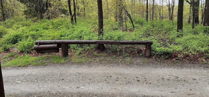 Agatha A. Durland Scout Reservation 0