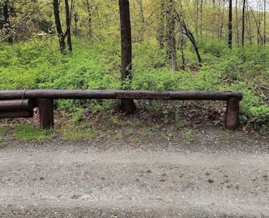 Agatha A. Durland Scout Reservation