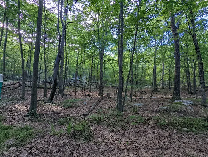 Agatha A. Durland Scout Reservation 9