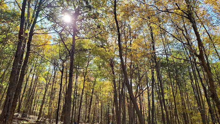 Agatha A. Durland Scout Reservation 8