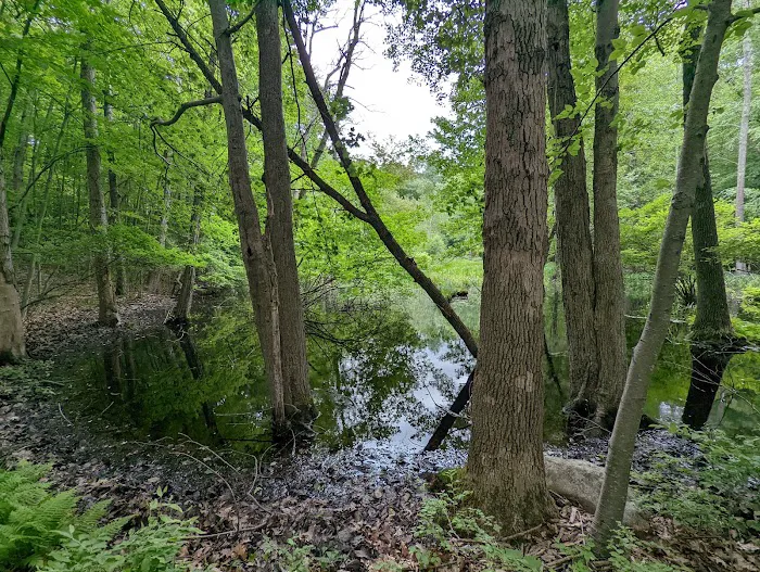 Agatha A. Durland Scout Reservation 6