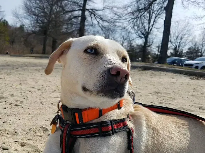 Durland Scout Reservation Visitors Center 5