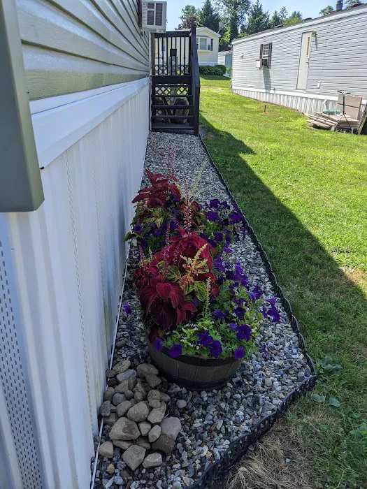 Elko Schutte Carpenter Trailer 2