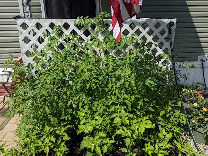 Elko Schutte Carpenter Trailer 1