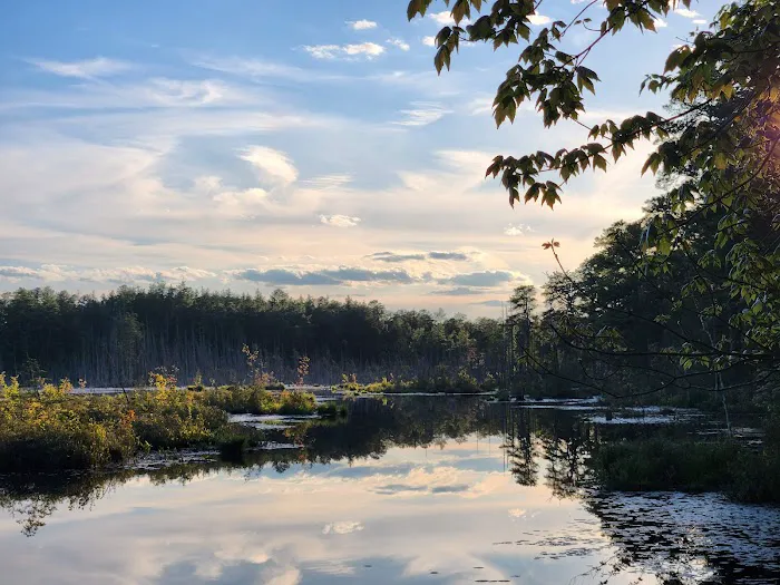 Goshen Pond Camping Area 0