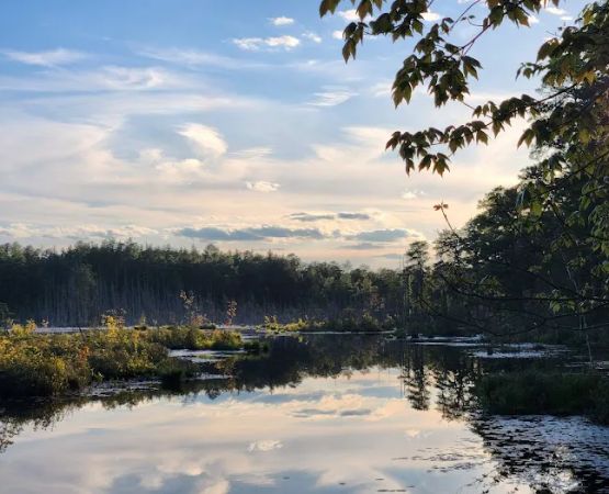 Goshen Pond Camping Area