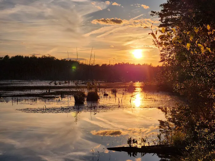 Goshen Pond Camping Area 8