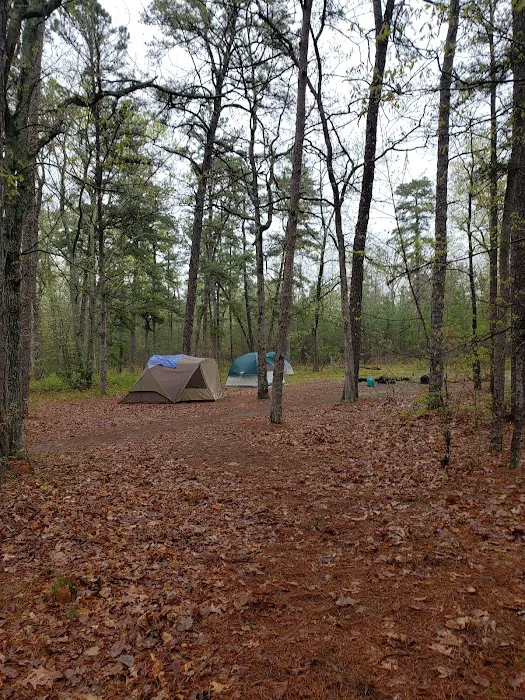 Goshen Pond Camping Area 4