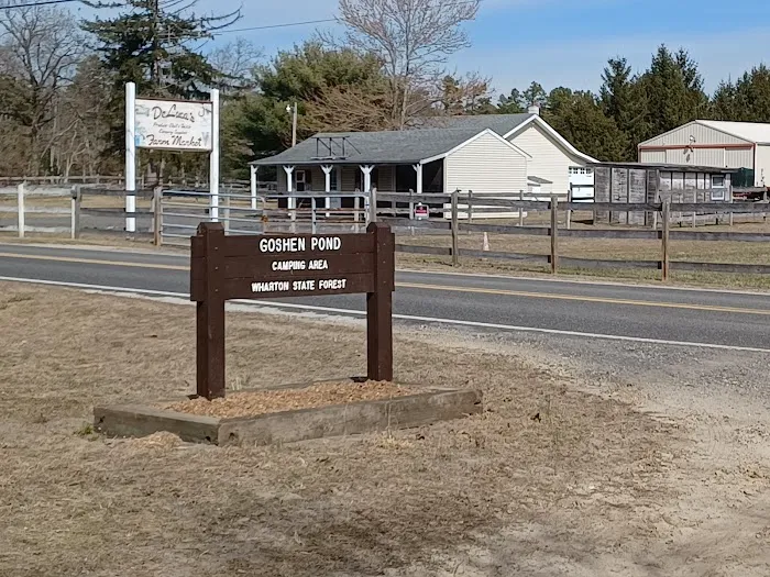 Goshen Pond Camping Area 3