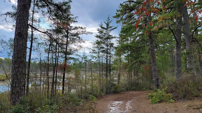 Goshen Pond Camping Area 7