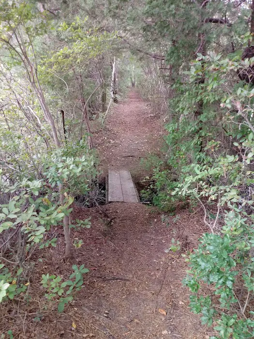 Goshen Pond Camping Area 5